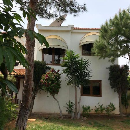 Villa Natalia Ayia Napa Eksteriør billede