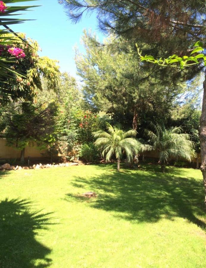 Villa Natalia Ayia Napa Eksteriør billede