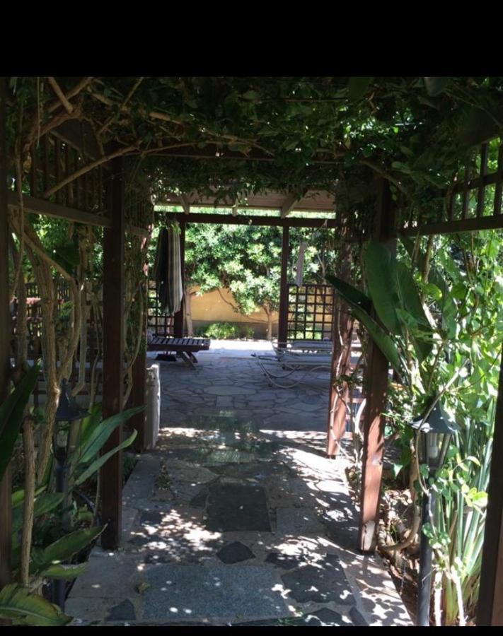 Villa Natalia Ayia Napa Eksteriør billede